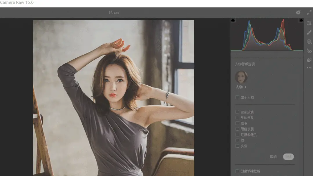 摄影师必备的图片增效工具 Adobe Camera Raw v16.3.0 免费版