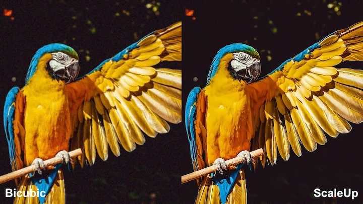 [AE/PR插件] 视频无损放大工具 ScaleUP v1.3.0 Mac版