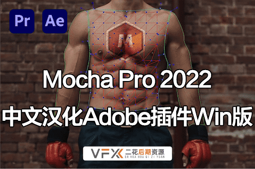 [AE/PR插件] 平面跟踪摄像机反求摩卡插件 Mocha Pro 2022 v9.5.6 中文汉化版 支持Win