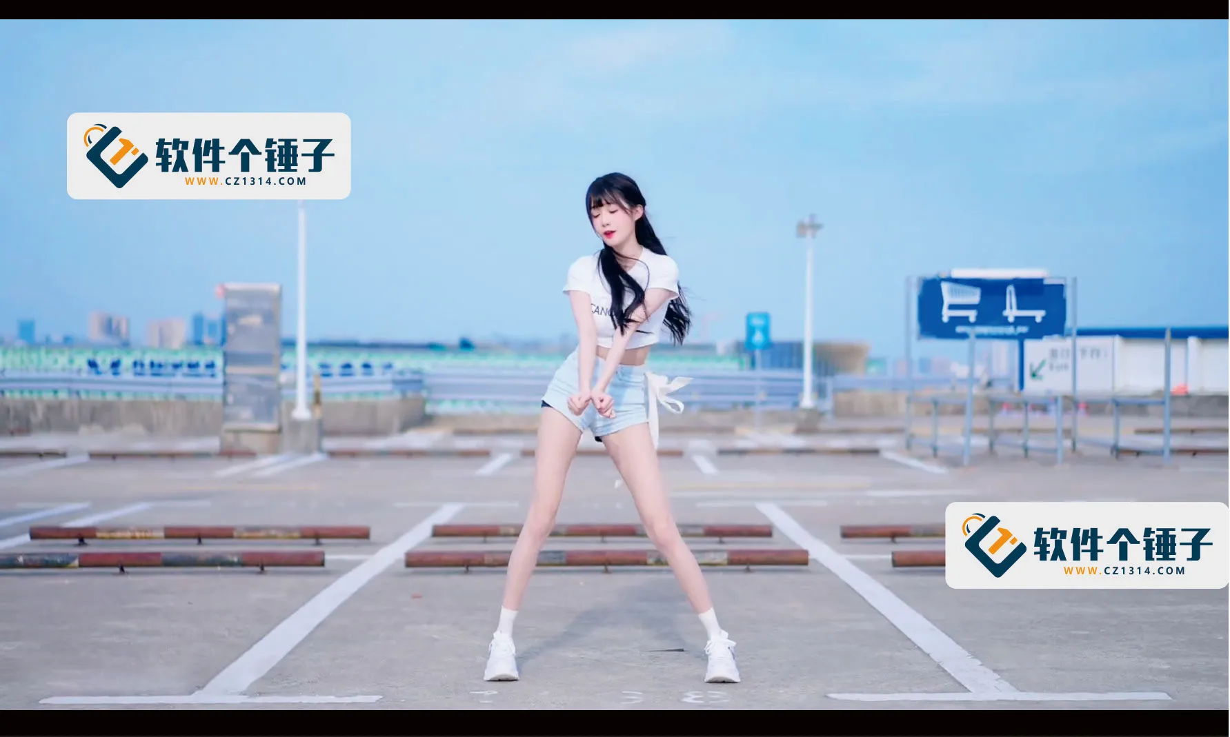 哔哩哔哩（B站）视频下载软件 Bilidown v1.2.0 单文件版【软件个锤子·R1632】