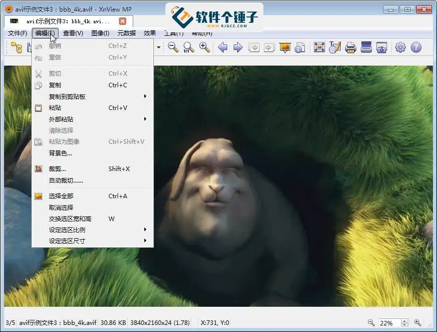 图片浏览编辑软件 XnView MP v1.8.0 64bit 绿色版【软件个锤子·R2028】