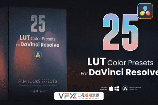[达芬奇LUT预设] 25种好莱坞电影视频黑白单色调色预设 LUTs pack for DaVinci Resolve