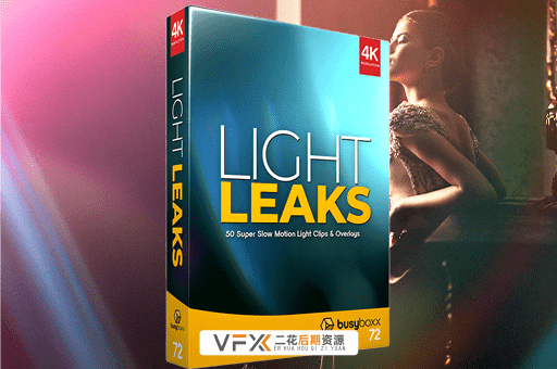 [特效素材] 50种唯美漂亮真实镜头光效叠加动画 BusyBoxx BBV72 Light Leaks