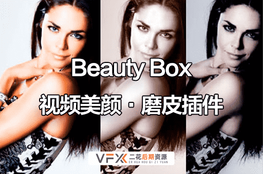[AE/PR插件] 视频磨皮人像润肤美颜插件 Beauty Box v5.0.8 中文汉化版 支持Win