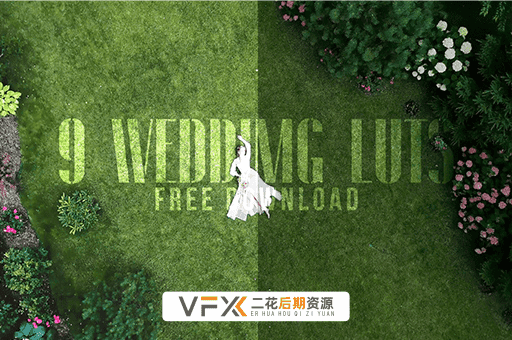 [AE/PR/FCPX/达芬奇/Vegas预设] 9组婚礼MV影片常用调色预设 Wedding LUT