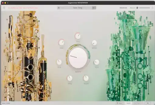 木管乐器增强模拟插件 Arturia Augmented WOODWINDS v1.1.2.5305 激活版【软件个锤子·R2829】