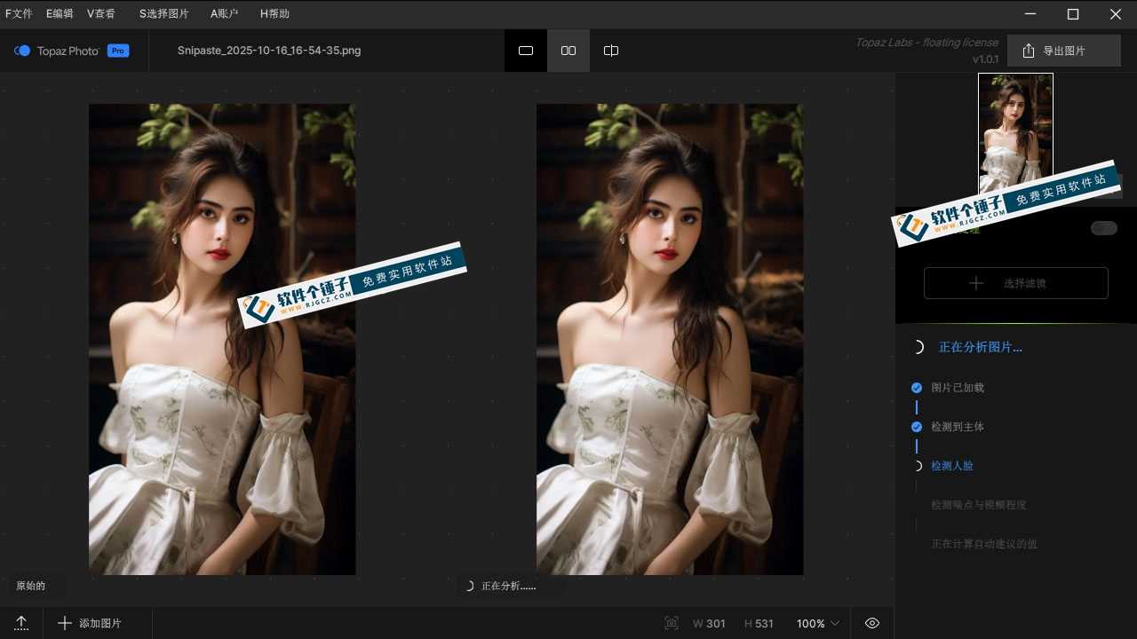 AI人工智能图片降噪软件 Topaz Photo Pro v1.2.0 汉化版【软件个锤子·R4541】