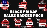 [AE模板] 双11或购物节活动促销时尚特卖会商品报价贴纸动画 Black Friday Sale Badges Pack
