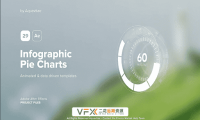[AE模板] 29种信息数据饼图进度读取图表动画 Infographic Pie Charts