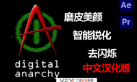 [AE/PR插件] 磨皮美颜锐化光照视频去闪烁插件合集 Digital Anarchy 2022.12 中文汉化版 支持Win