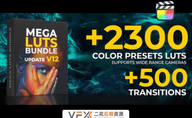 [AE/PR/PS/达芬奇/FCPX预设] 2317种好莱坞电影预告片视频调色预设 Mega LUTs Bundle 含509个转场