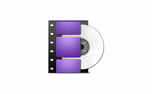 DVD翻录拷贝软件 豌豆狐 WonderFox DVD Ripper Pro v23.5.0 中文激活版