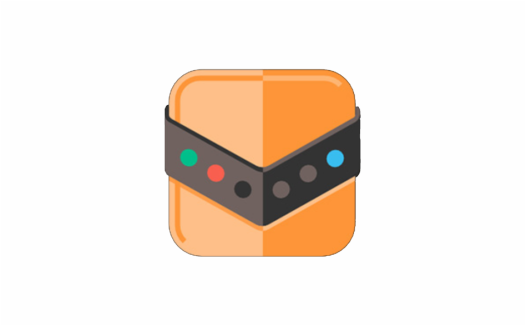 注册表管理软件 Reg Organizer v9.89 汉化激活版【软件个锤子·R1228】