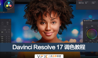 [达芬奇基础教程] 视频调色教程 Davinci Resolve Studio 含中文字幕
