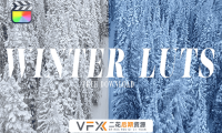 [FCPX插件] 7组冬季户外雪景校正调色预设 Winter LUTS 中文汉化版