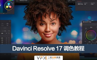 [达芬奇基础教程] 视频调色教程 Davinci Resolve Studio 含中文字幕