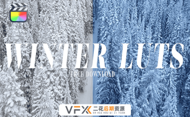 [FCPX插件] 7组冬季户外雪景校正调色预设 Winter LUTS 中文汉化版