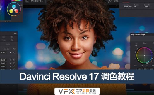 [达芬奇基础教程] 视频调色教程 Davinci Resolve Studio 含中文字幕