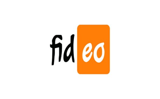 电脑端 直播录制软件 Fideo v1.1.0 免费版【软件个锤子·R1663】