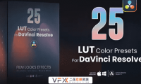 [达芬奇LUT预设] 25种好莱坞电影视频黑白单色调色预设 LUTs pack for DaVinci Resolve
