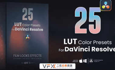 [达芬奇LUT预设] 25种好莱坞电影视频黑白单色调色预设 LUTs pack for DaVinci Resolve