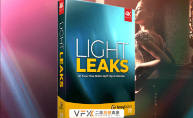 [特效素材] 50种唯美漂亮真实镜头光效叠加动画 BusyBoxx BBV72 Light Leaks