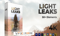 [特效素材] 61个镜头漏光耀眼炫光闪烁叠加动画 Light Leaks