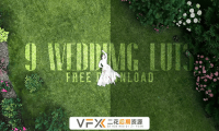 [AE/PR/FCPX/达芬奇/Vegas预设] 9组婚礼MV影片常用调色预设 Wedding LUT