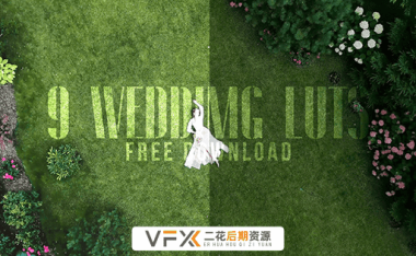 [AE/PR/FCPX/达芬奇/Vegas预设] 9组婚礼MV影片常用调色预设 Wedding LUT