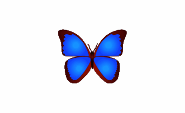 数码照片浏览器 bkViewer v8.5 中文绿色版【软件个锤子·R4760】