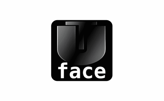 AI智能换脸软件 AI Video FaceSwap v2.6.3 中文离线版【软件个锤子·R1699】